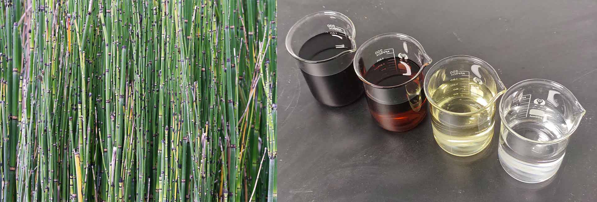 bamboo-vinegar-detox-patch