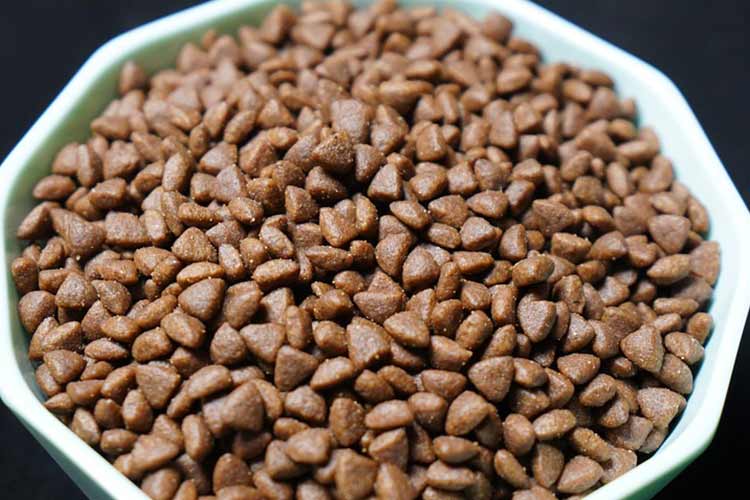 detox patch bamboo vinegar