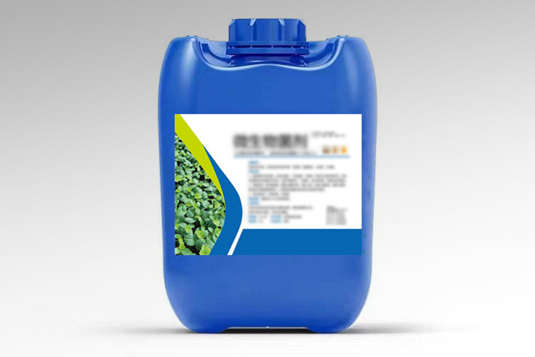 ginger powder and bamboo vinegar